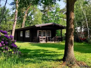 Outdoors Holten - Family Lodge met bad & hottub - 3