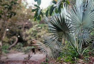 Shashamani Écolodge Abéné Kafountine - 6