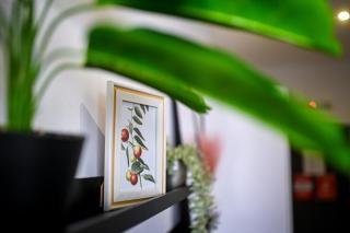 Central Bucharest Design Studios - Cozy, Modern and Steps from Piața Romană - 2