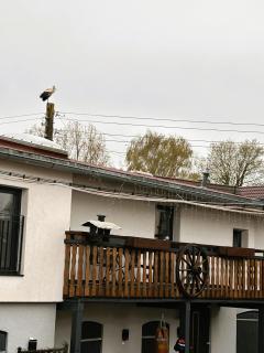 Am kleinen Storchennest - 6