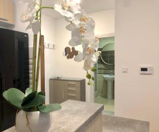 Mina Apartment - 1