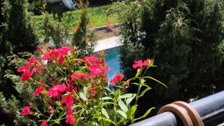 Green Garden Shuvelan - 6