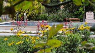 Green Garden Shuvelan - 4