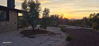 Finca los Collados de San Miguel - 4