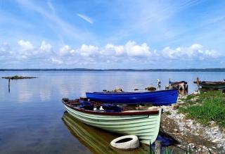 Crossdrum Courtyard Apartment One - The Dairy - 1