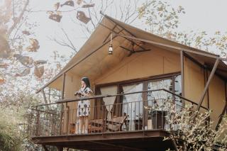 Madhuban Eco Retreat - 1