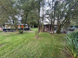 De Wilg Beerse, tiny house with meadow view, animals - 5