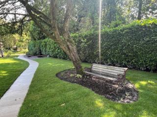 De Wilg Beerse, tiny house with meadow view, animals - 1