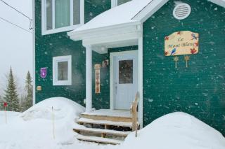 Mont Blanc #B - Private Spa near Massif du Sud - 8