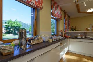 Luise Wehrenfennig & Haus EvA - Bad Goisern am Hallstättersee - 8