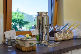 Luise Wehrenfennig & Haus EvA - Bad Goisern am Hallstättersee - 9