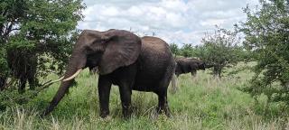 Hansat Homestay Residence - 6