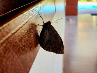 Chácara Bela Vista - Piscina e Vista Incrível - 6