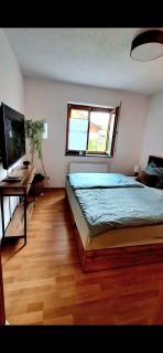 Ruhige Ferienwohnung Nussbaum mit kostenlosem Parkplatz ideal für Monteure, Geschäftsreisende, Paare & Durchreisende - 4