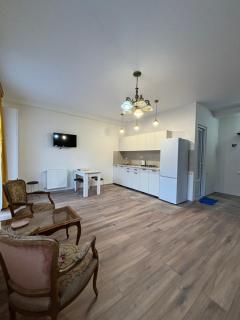 white house apartament in borjomi - 0
