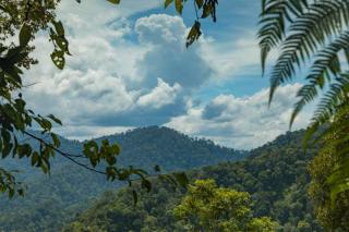 Coorg Misty Mountains Stay - 5