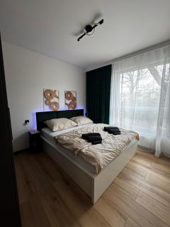Apartament Zdrowie - 9