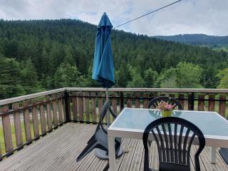 Chalet familial Vosges avec baby-foot et animaux admis - FR-1-589-688 - 7