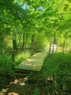Cabane insolite La Goupil - Proche Rochefort-en-Terre - 8