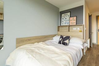 Accessible Rooms Near Cork City Centre - 4