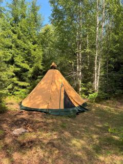 Natur pur im Tipi -Dein Rückzugsort in Schwedens Wildnis - 3