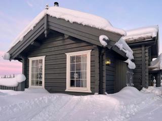 Ørnenipa Lodge By Gaustatoppen With Panoramic View - Rjukan - 8