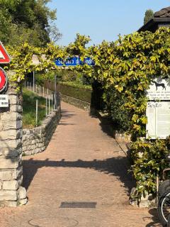 Dolce Notte - Rustico a Gandria - 4