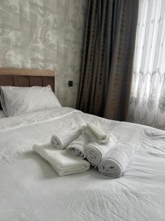 Novxanı family villa - 3