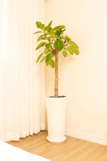 Banghwa Space 5 min to Banghwa Stn, Near Gimpo Airport, Magok & COEX - 4