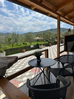 Olive Oasis Studio - 3