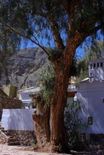 Loft Espacio Purma - 8