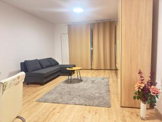Comfortable apartment in Coresi area - 6