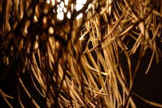 Loft Espacio Purma - 1