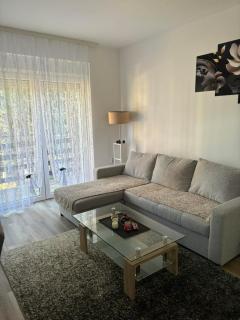 Apartman Davidovic - 9