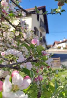 Goizeder Casa Completa 8 habitaciones & Txoko 100 m - 8