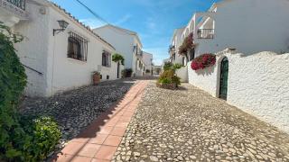 Crisantemos Nerja - 9