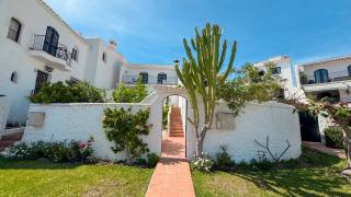 Crisantemos Nerja - 3