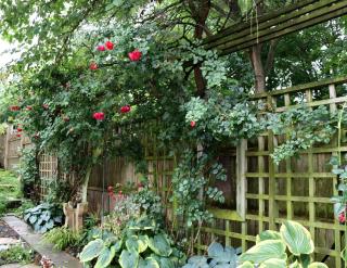 Wellington House Bed and Breakfast - 1