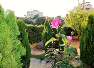 Helen's Sounio Apartments - Kaap Soenion - 1