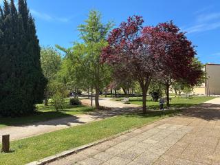 Studio 25m2 à deux pas des thermes - 1