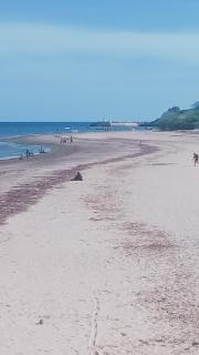 Cozy Coastal Getaway - Short walk to the beach - 9