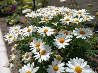 Ntina Kouliaki Studios - 2