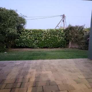 Cosy Garden Cottage - 5