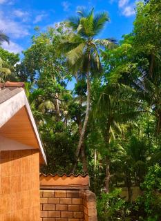Nature Villa - 2