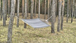 Лісове SPA - 8