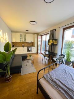Apartment with Private Jacuzzi & Terrace in the center of Prague - 1