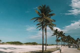 Modern 2 BDR South Beach Condo by Ocean Drive 404 - 6