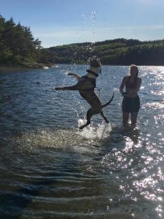 Country House on a Horse Farm - Dogs welcome - 1