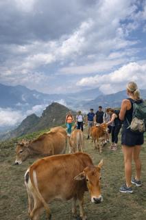 Surelee Homestay - 8