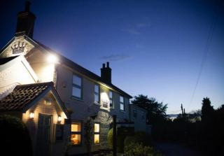The Pheasant - 9
